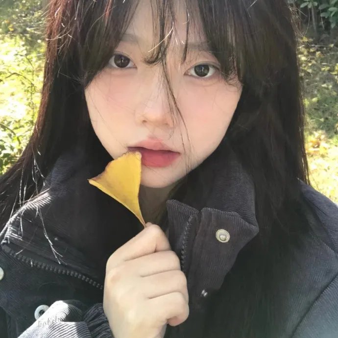 一场春梦 封面